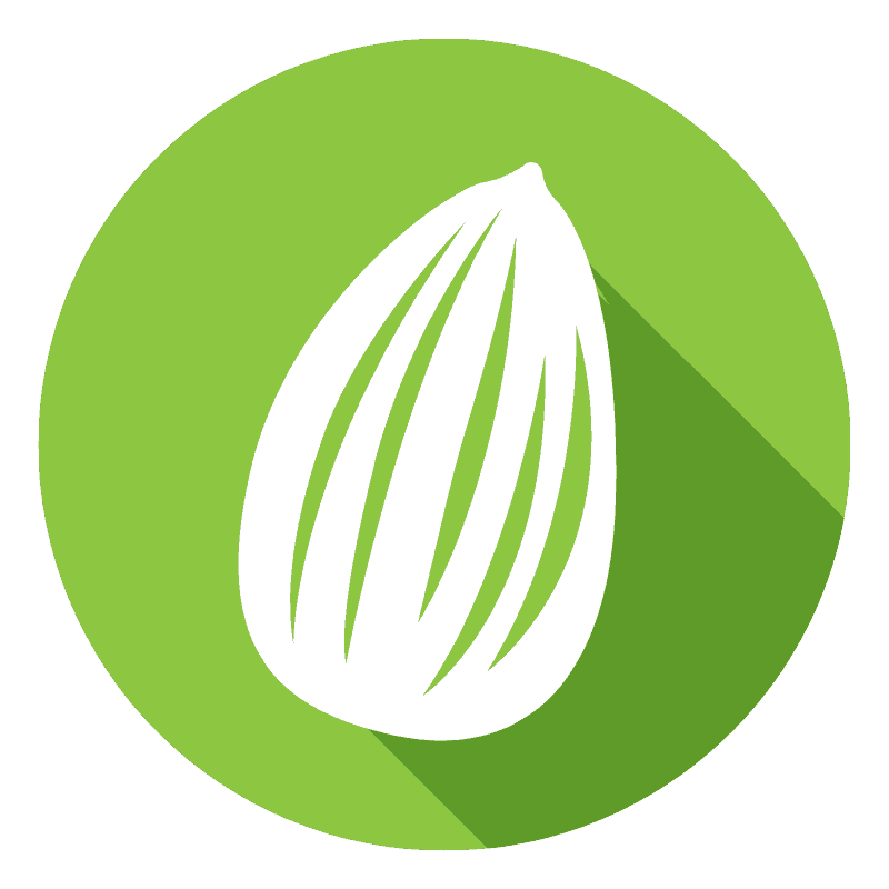 White almond icon with vertical lines on a green circular background and a long drop shadow.