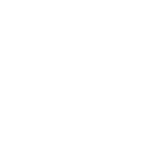 Simple illustration of a capsule and a round tablet on a light gray background.