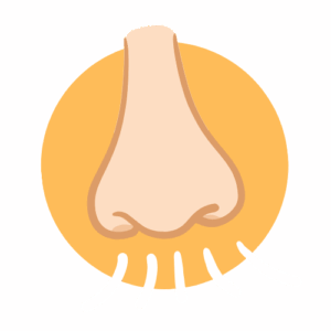 Illustration of a nose with white curved lines below it, suggesting the act of smelling, on a yellow circular background.