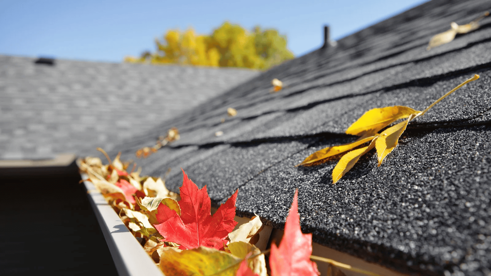 Think safety in fall as weather changes - Baton Rouge Clinic